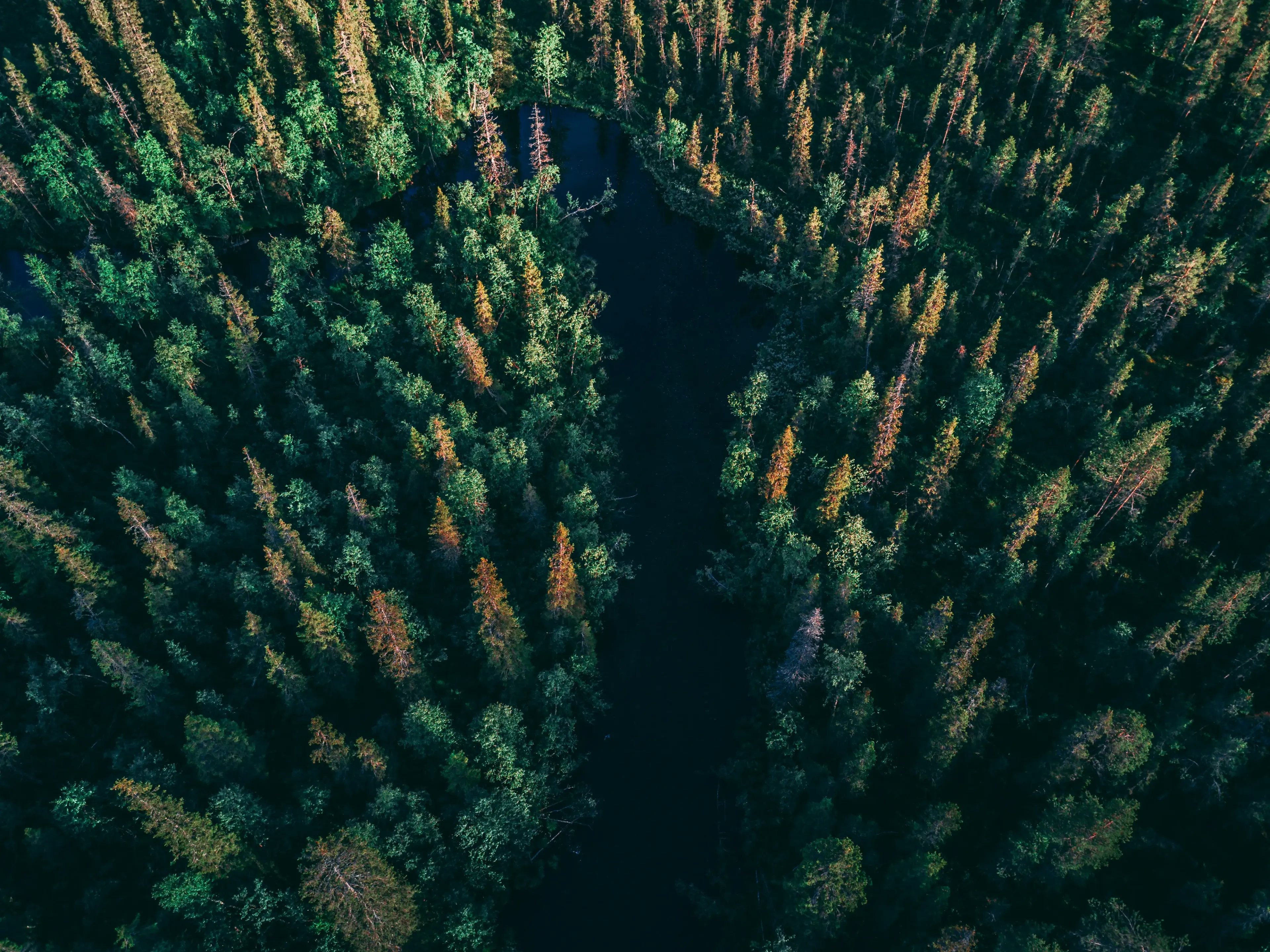 Photo by <a href="https://unsplash.com/@geraninmo?utm_content=creditCopyText&utm_medium=referral&utm_source=unsplash">Geranimo</a> on <a href="https://unsplash.com/photos/birds-eye-view-of-river-between-trees-hl7ILaqrOqI?utm_content=creditCopyText&utm_medium=referral&utm_source=unsplash">Unsplash</a> 